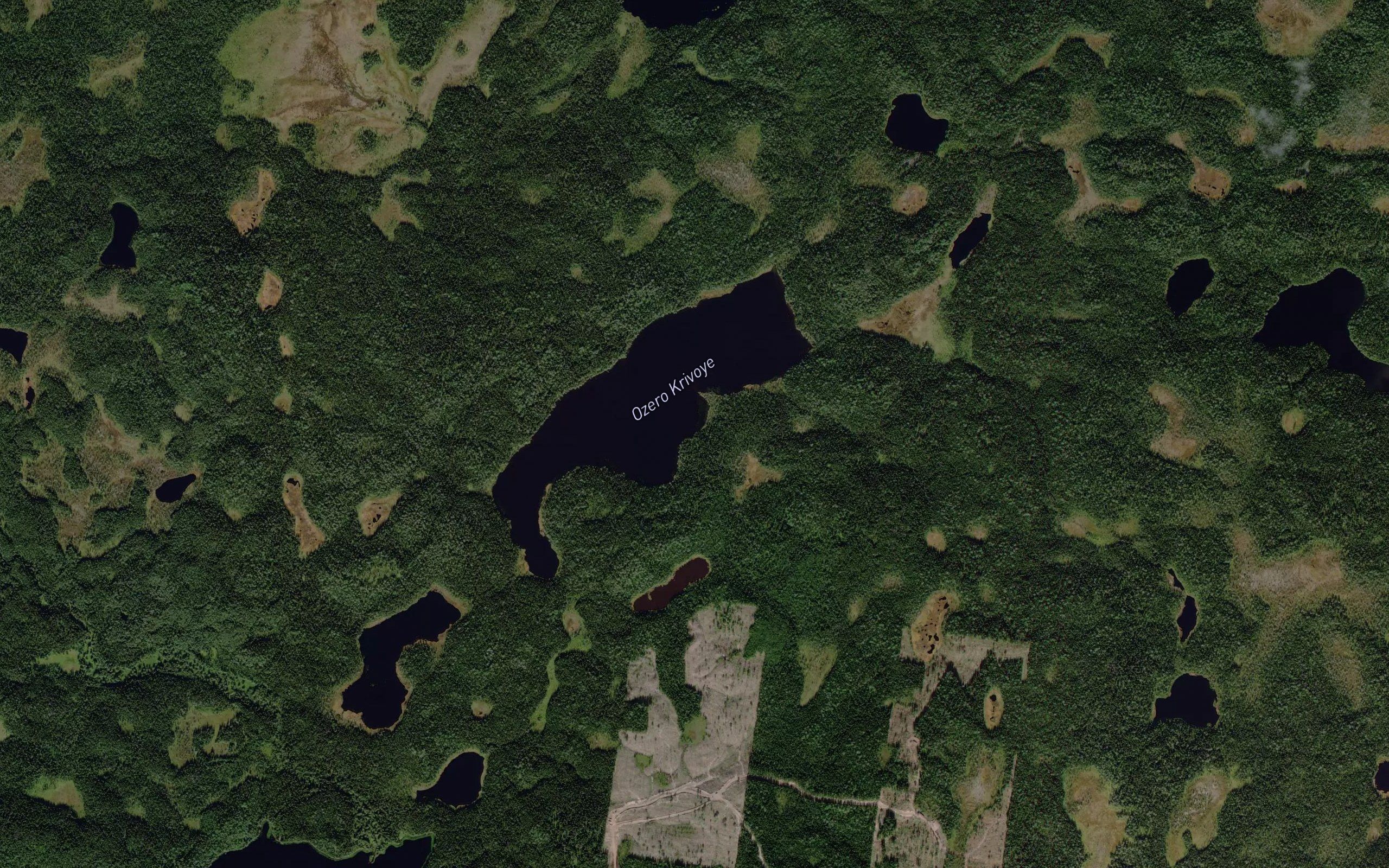 Ozero Krivoye