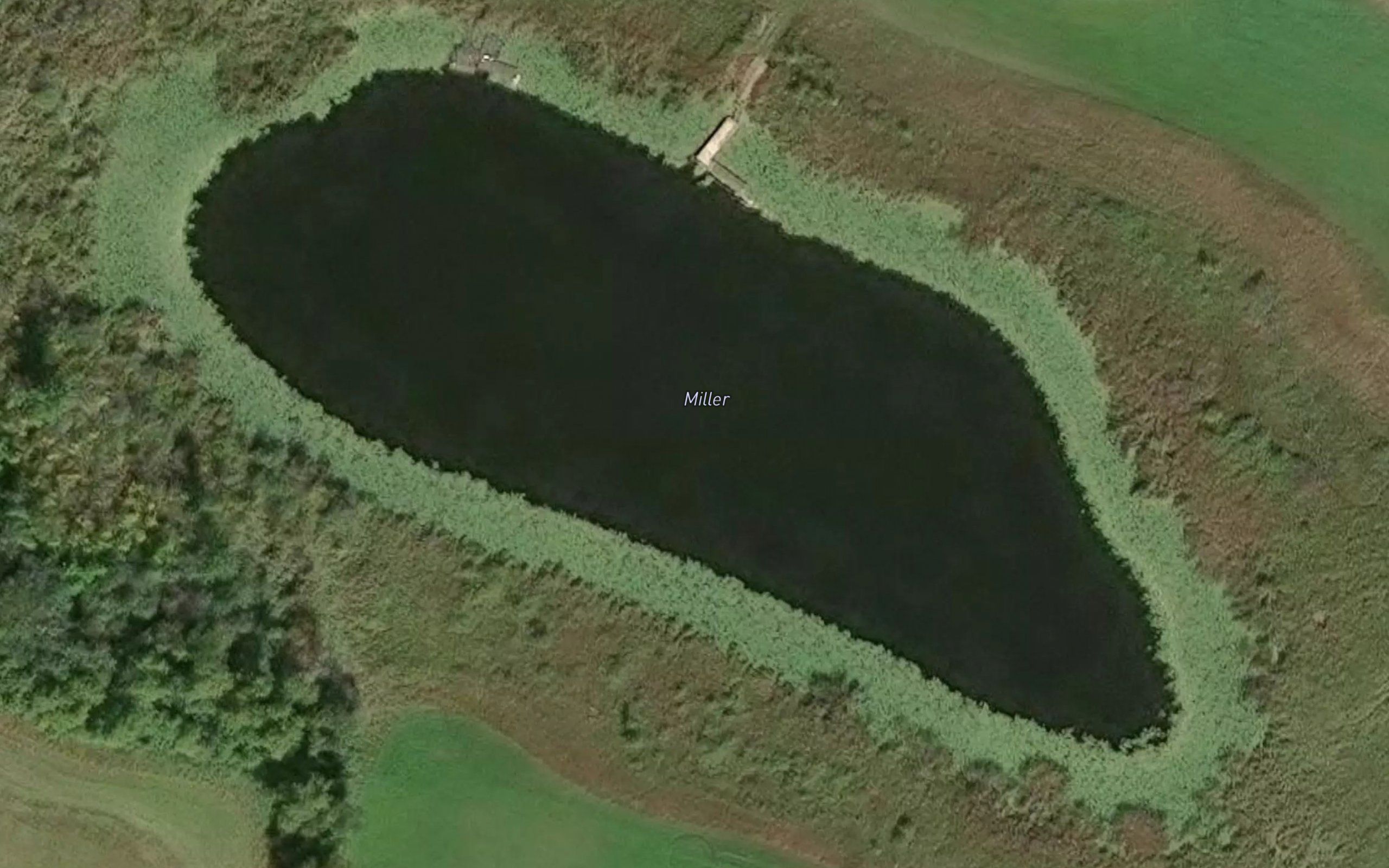 Miller Lake