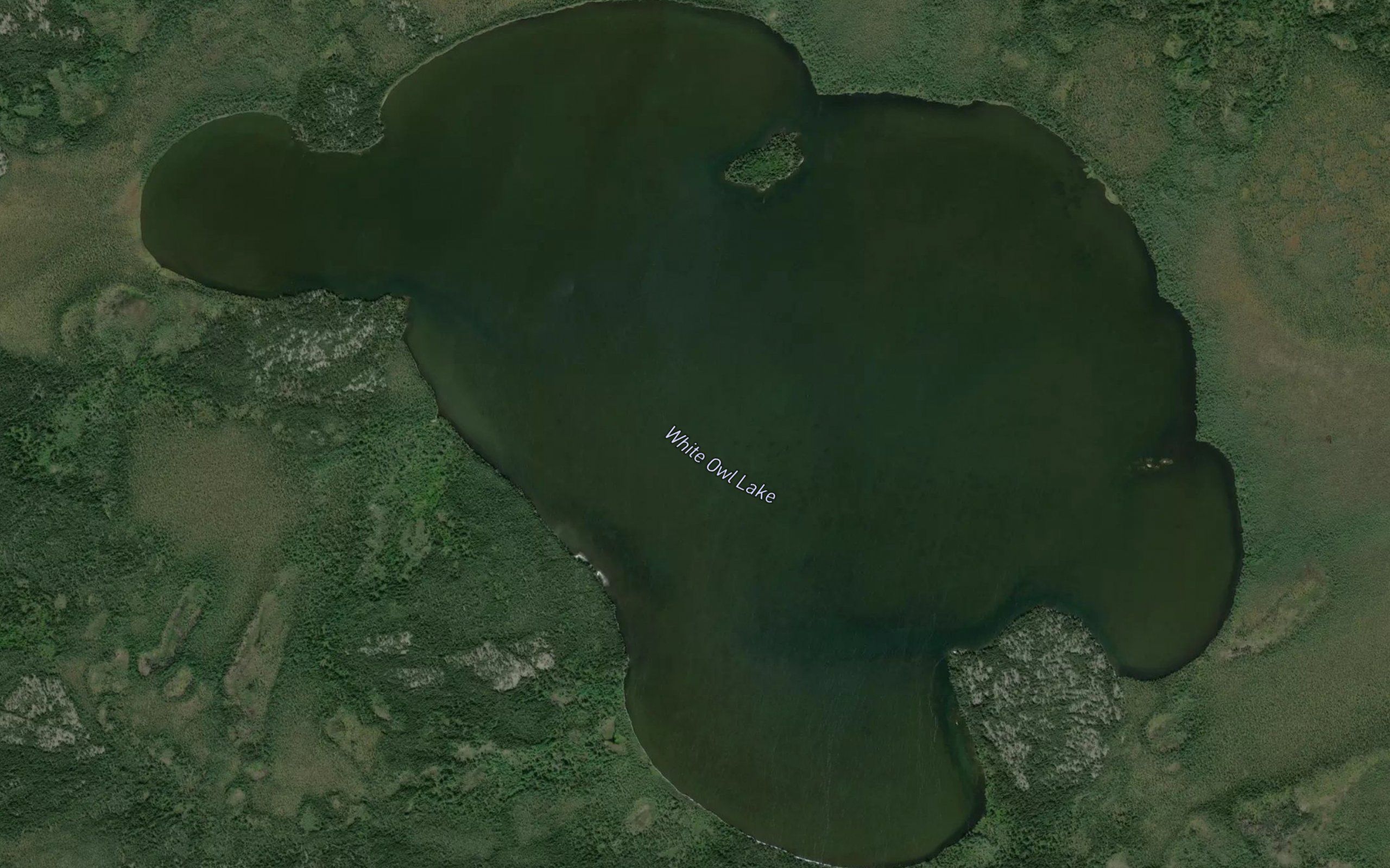 White Owl Lake