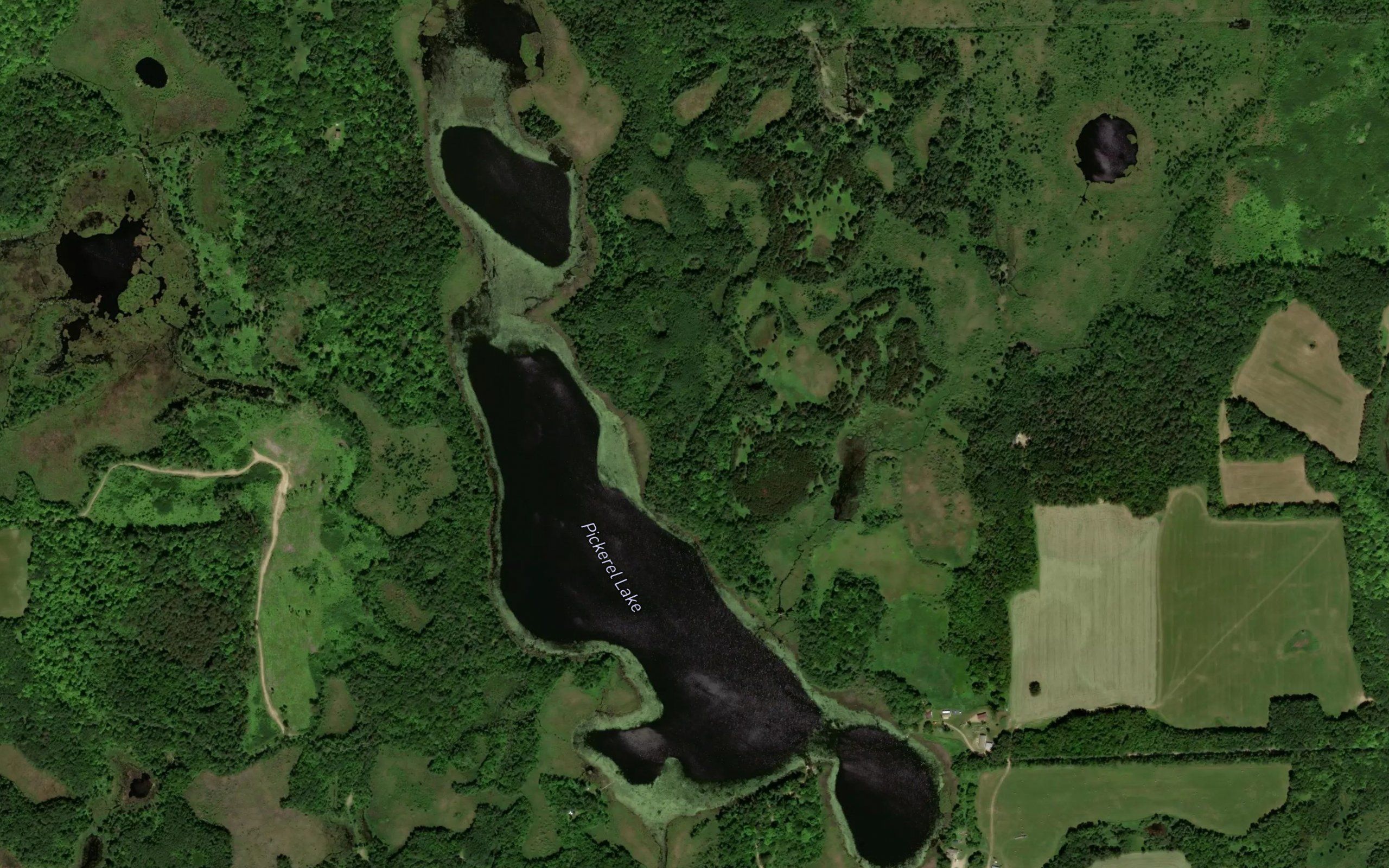 Pickerel Lake
