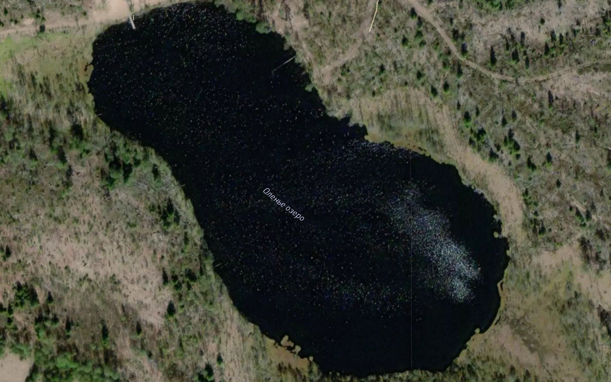 Poroklanjaervi