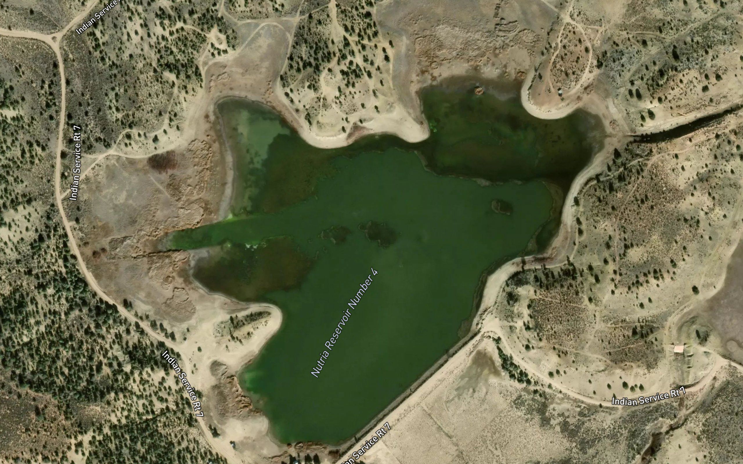 Nutria Reservoir Number 4