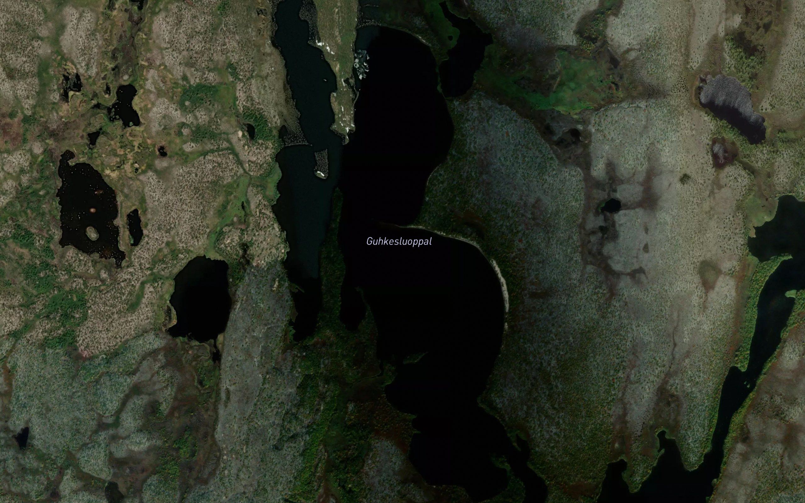Gukkesluobbal