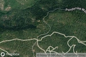 Panther Spring