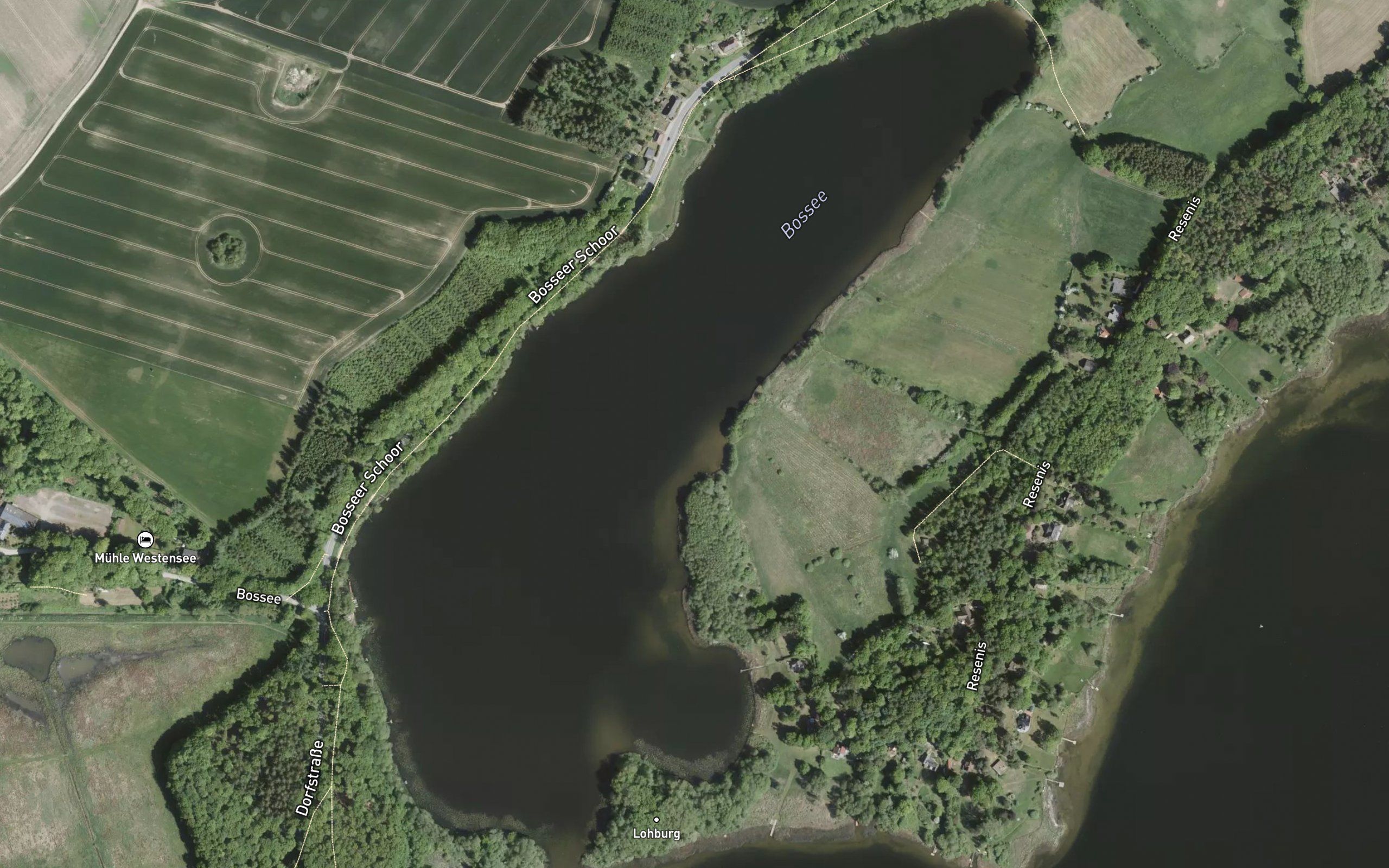 Bossee