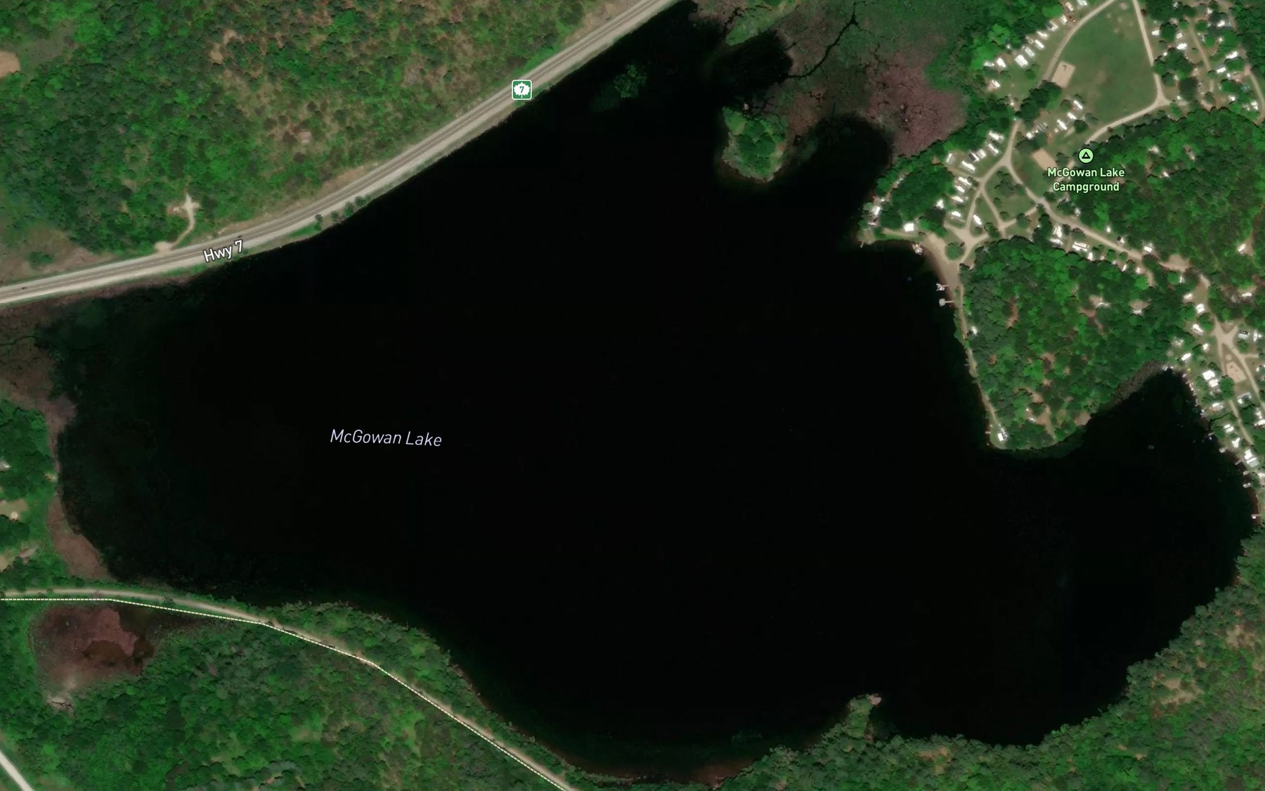 Satellite map of the McGowan Lake