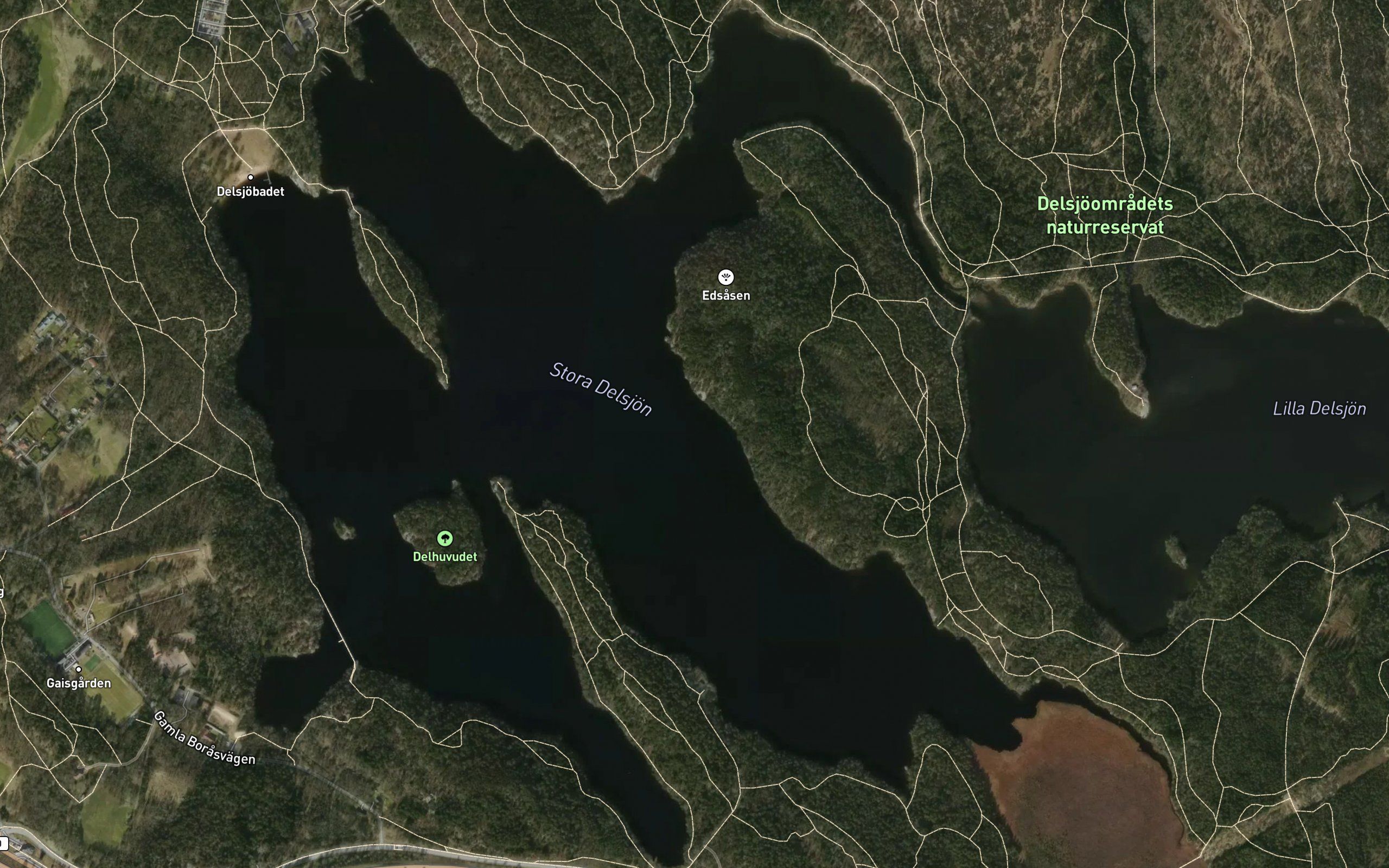 Stora Delsjoen