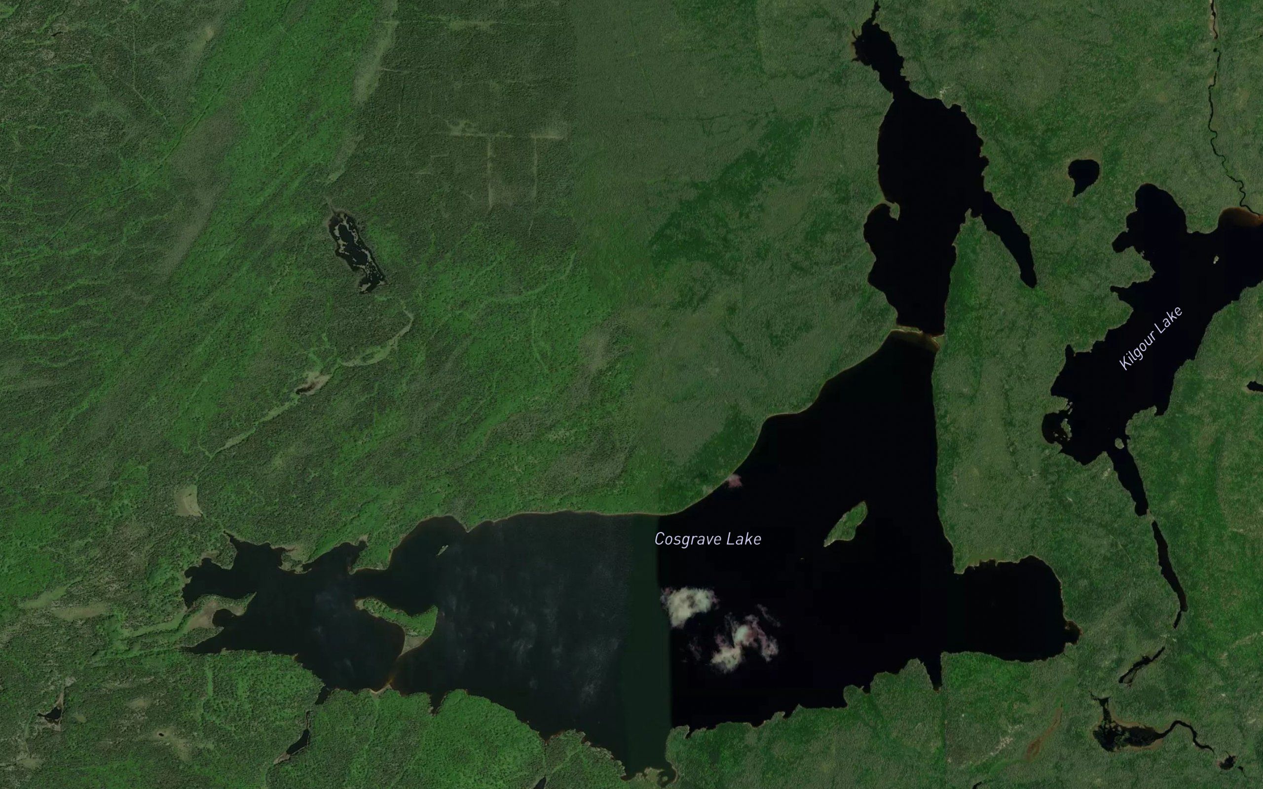 Cosgrave Lake