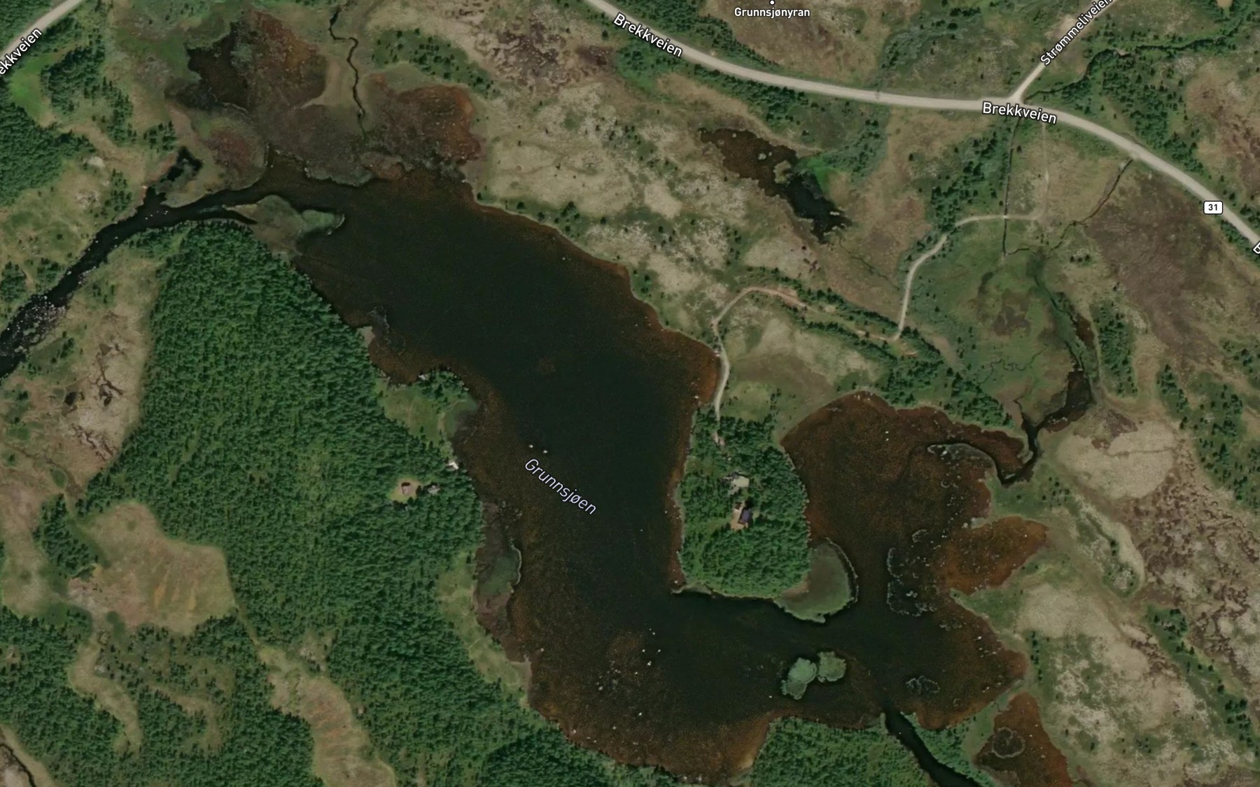 Satellite map of the Grunnsjoen