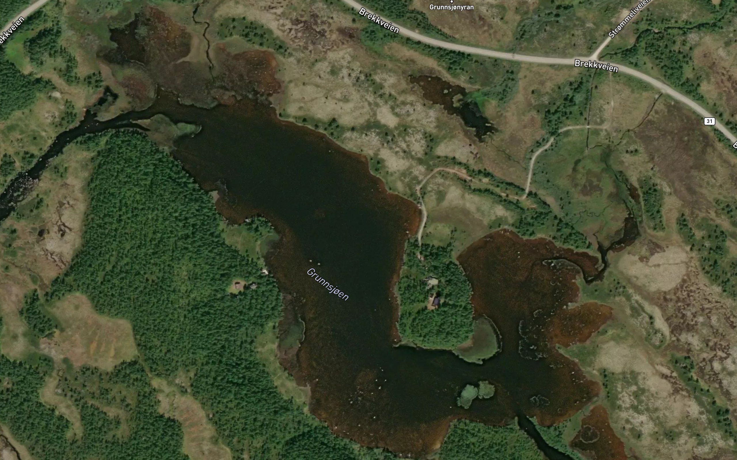 Grunnsjoen