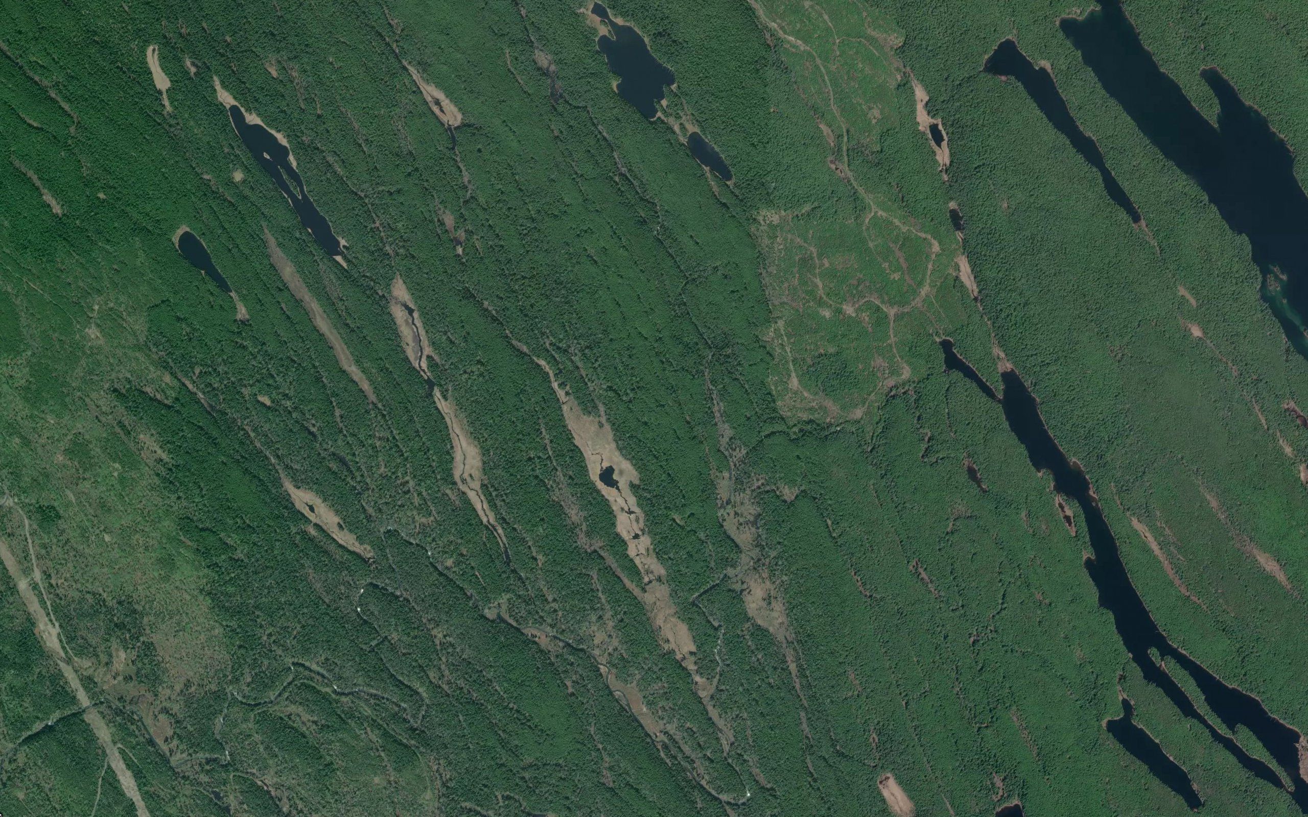 Brown Bear Creek
