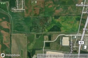 Lake Run North of I-88 Overflow East Branch