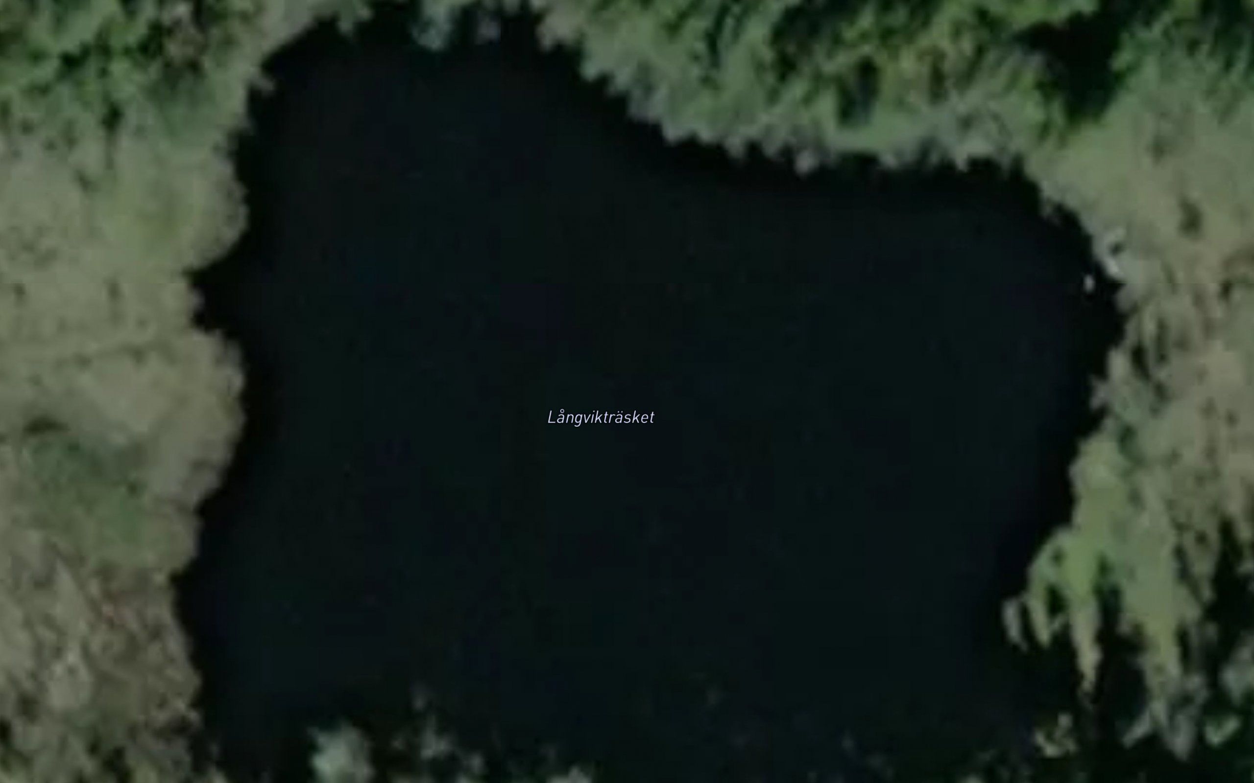 Langviktrasket