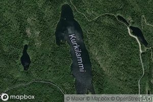 Kurkilammi