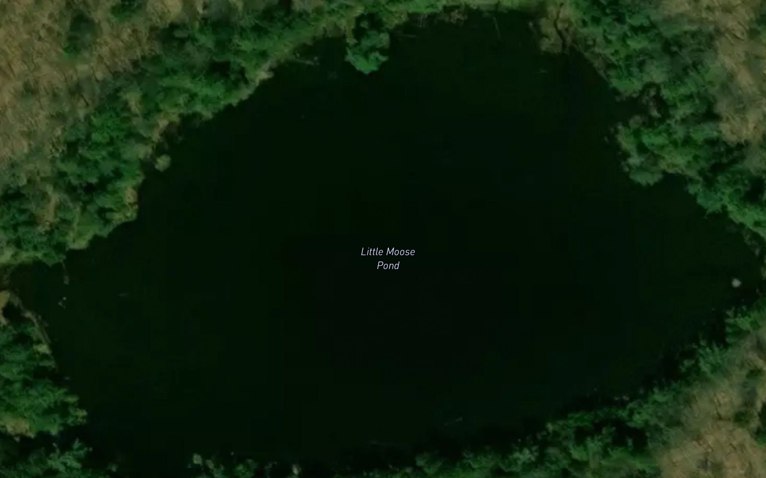Little Moose Pond