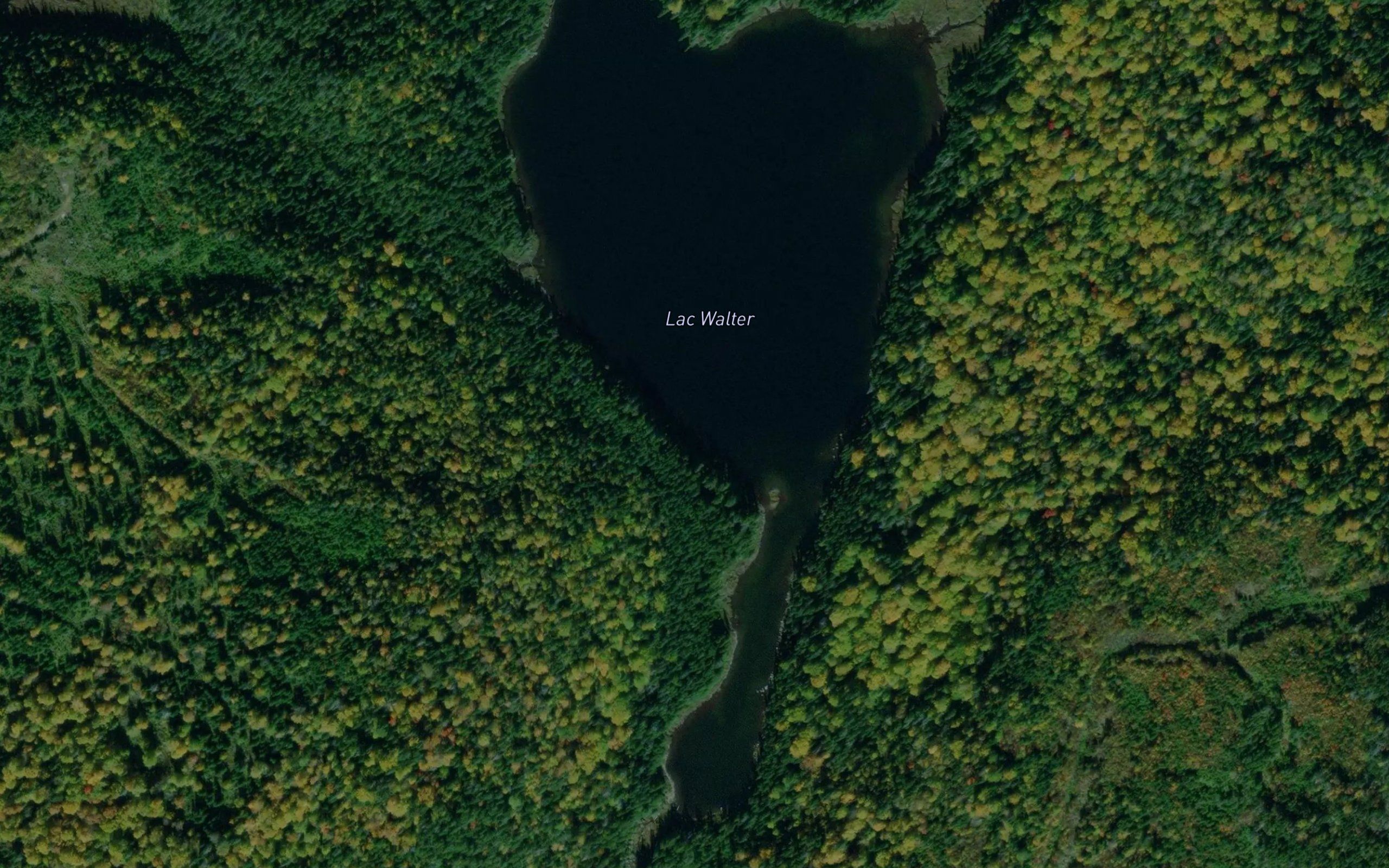Lac Walter