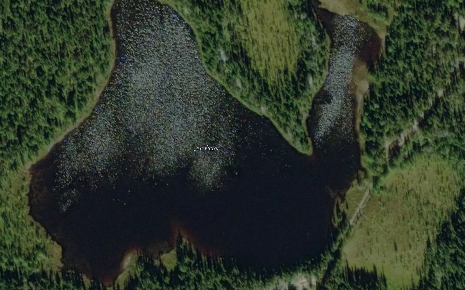 Satellite map of the Lac Victor