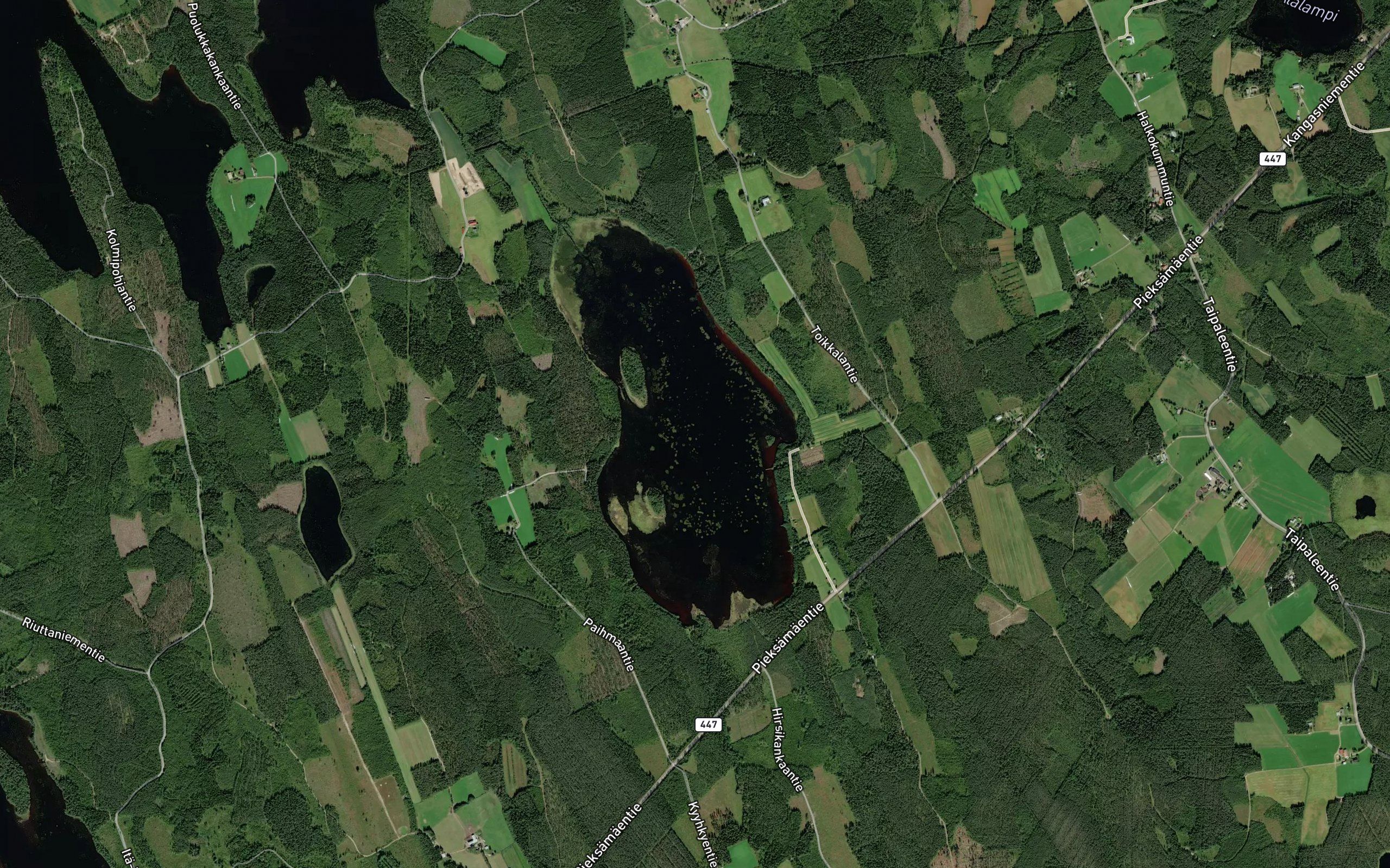 Paihmaa