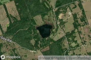 Duck Pond