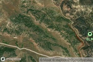 05S41E32CDBC01 Spring