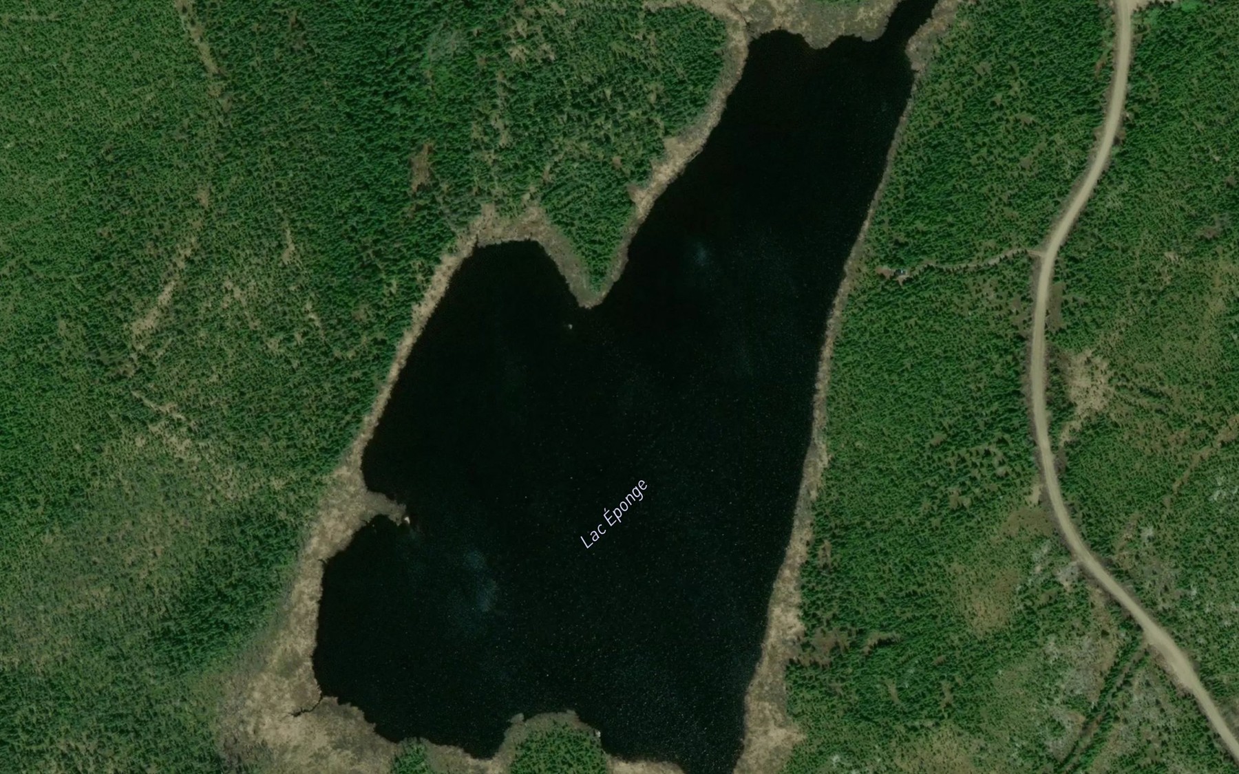 Satellite map of the Lac Eponge