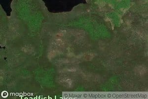 Toadfish Lakes
