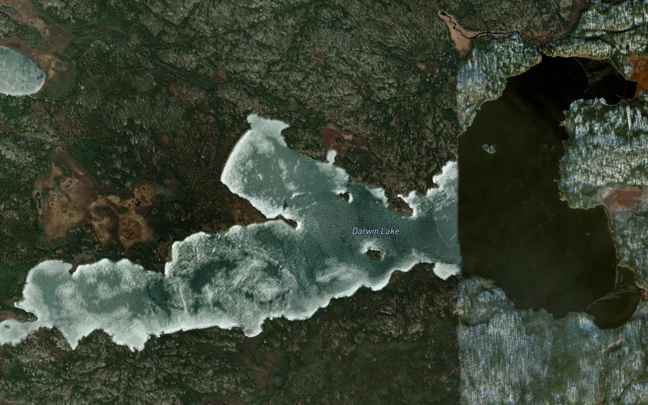 Darwin Lake