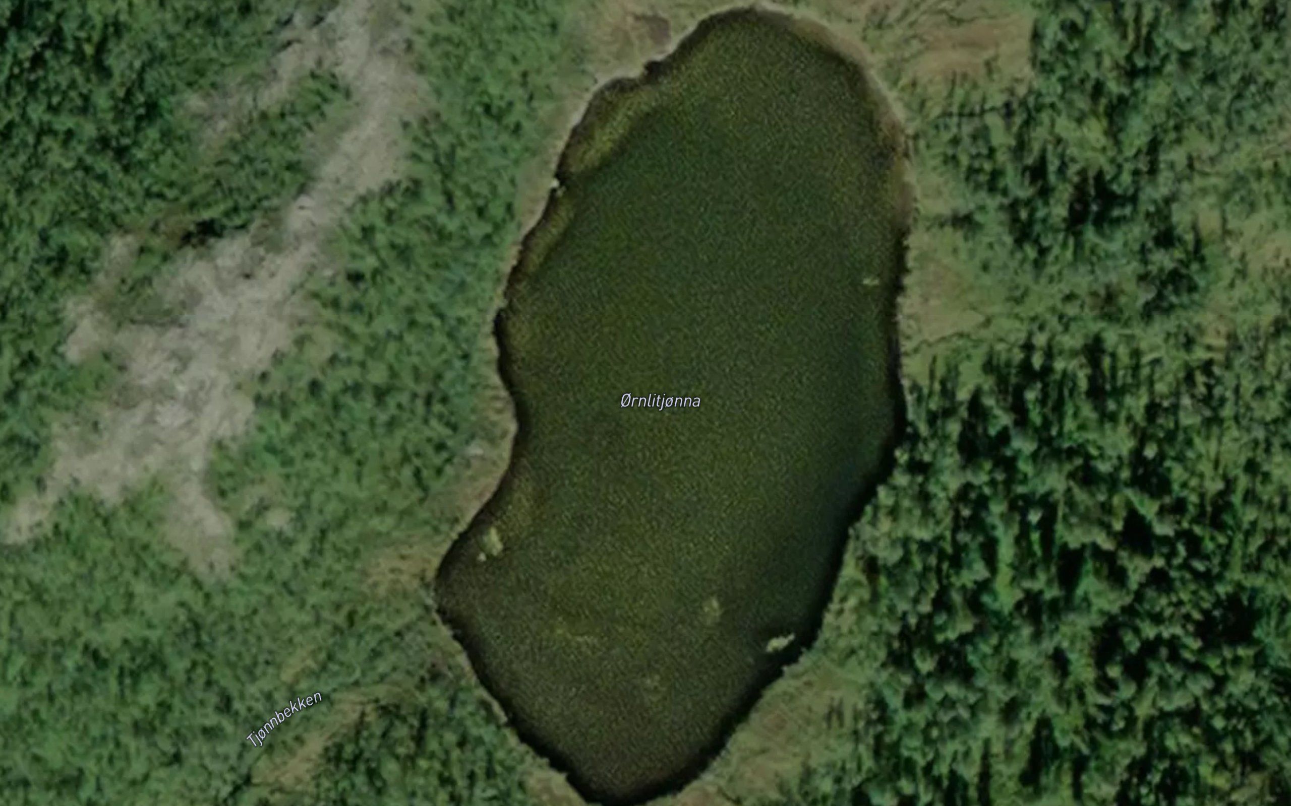 Ornlitjonna