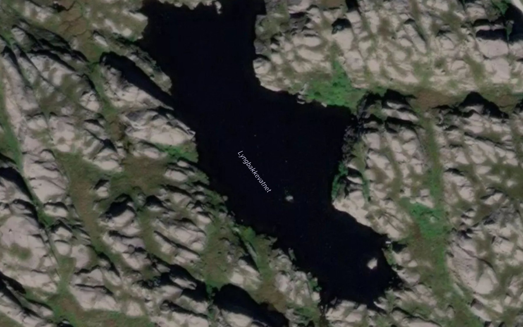 Satellite map of the Lyngbakkevatnet