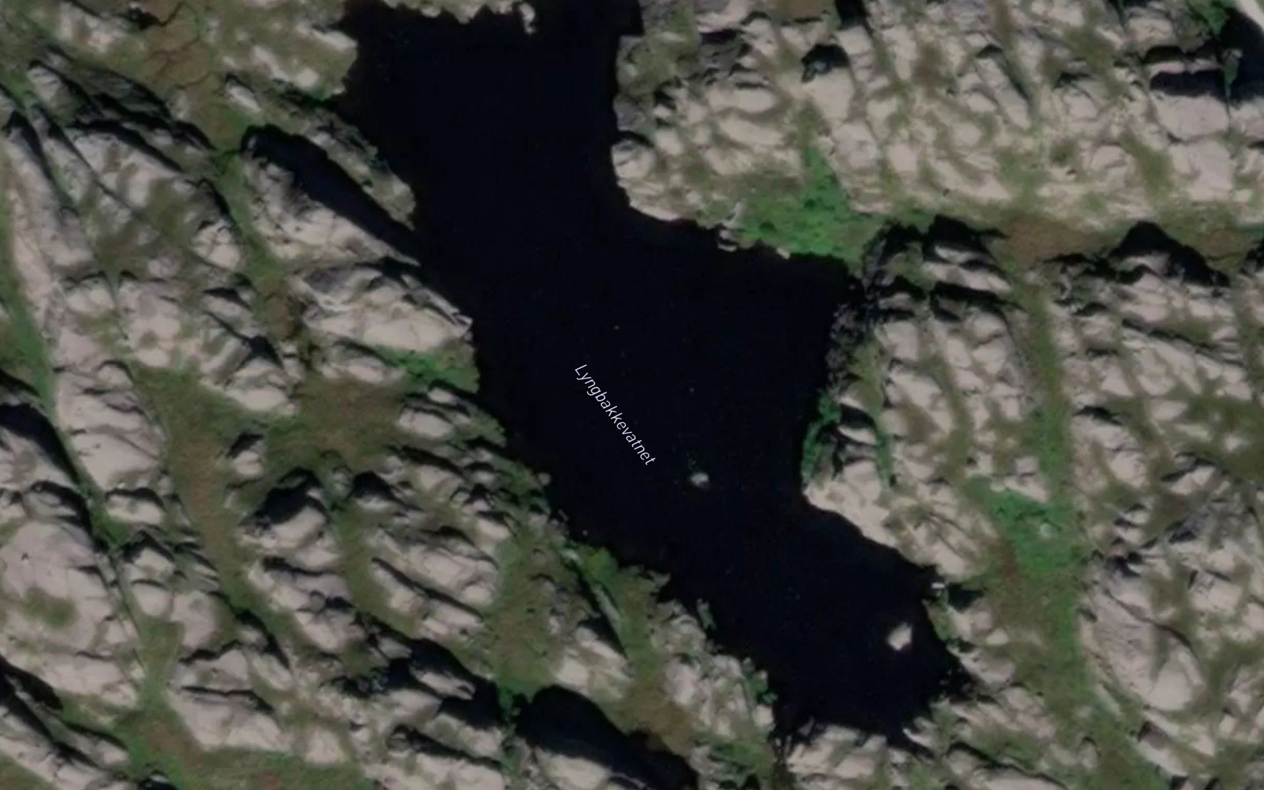 Lyngbakkevatnet