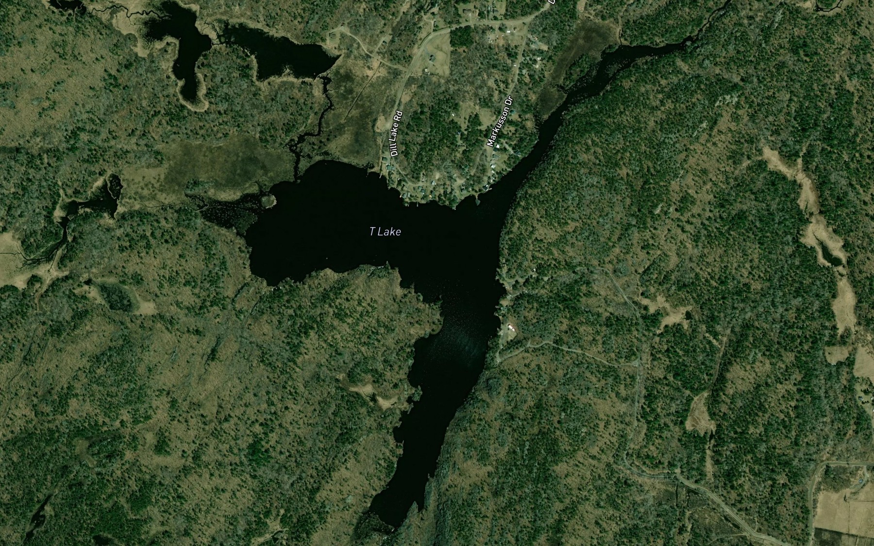 Satellite map of the T Lake