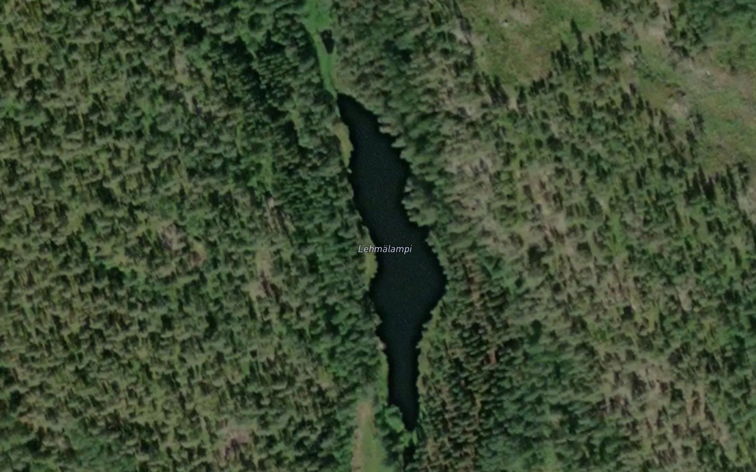 Lehmalampi