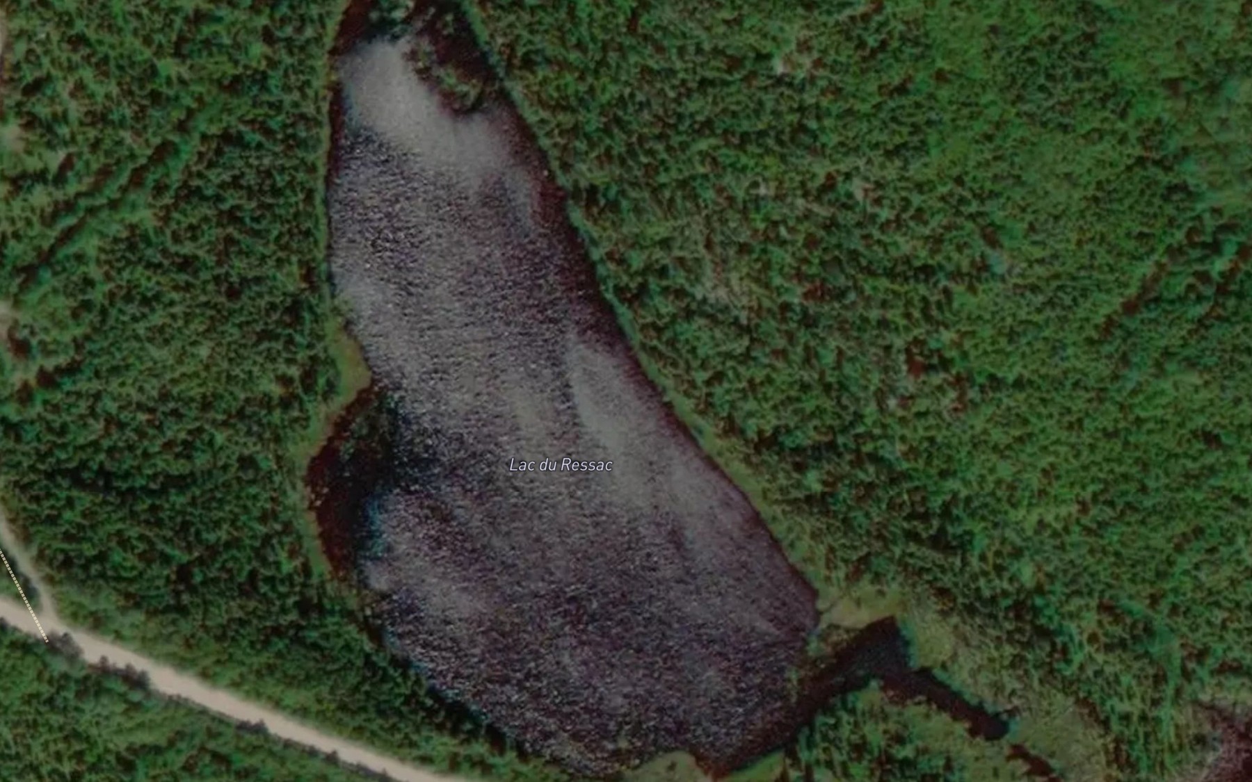Satellite map of the Lac du Ressac