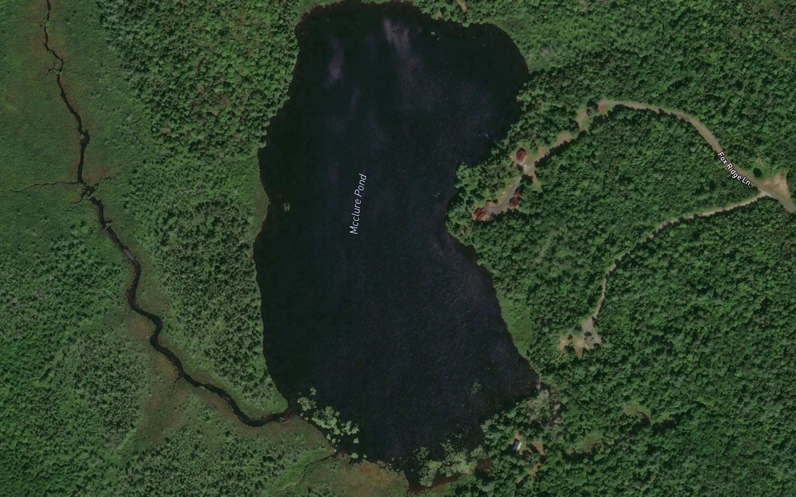 McClure Pond