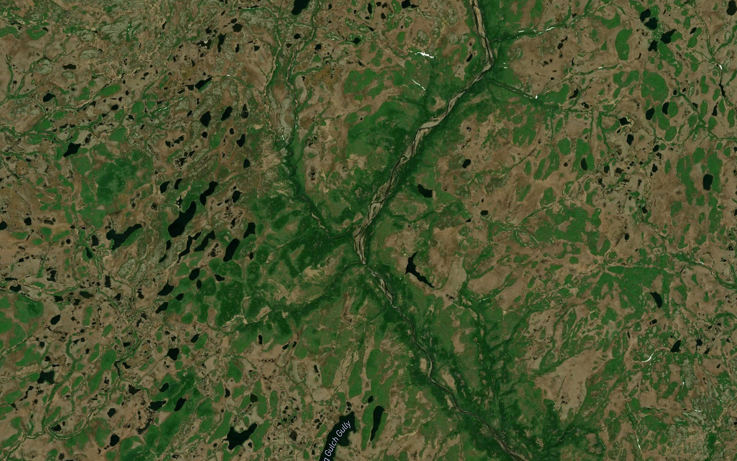 Black Hummock Gully