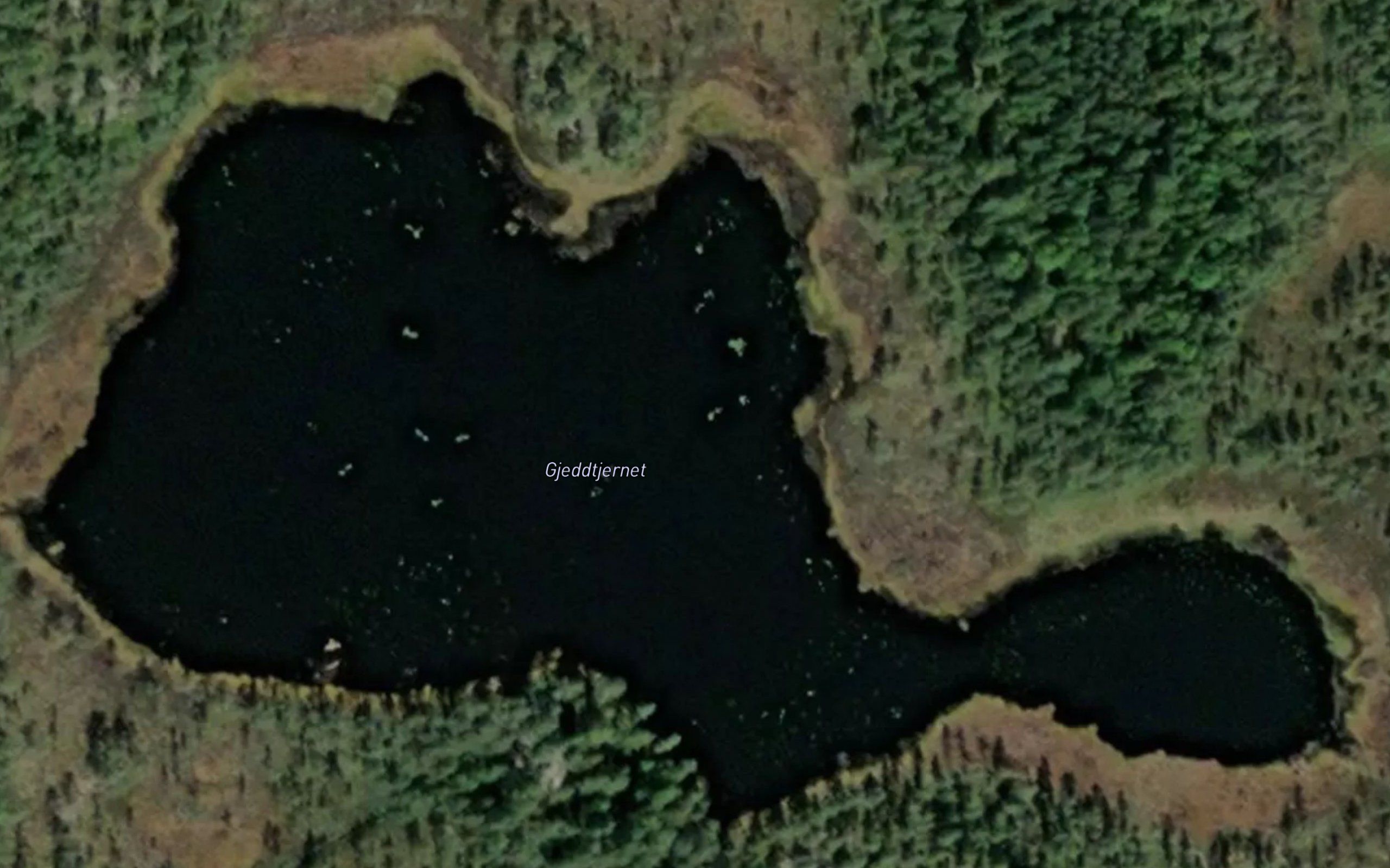 Gjeddtjernet