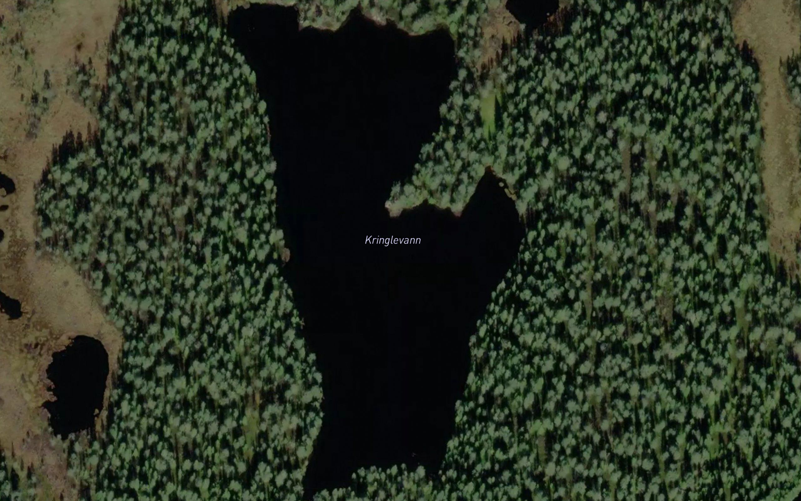 Kringlevann