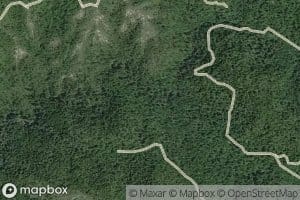 South Fork Butano Creek