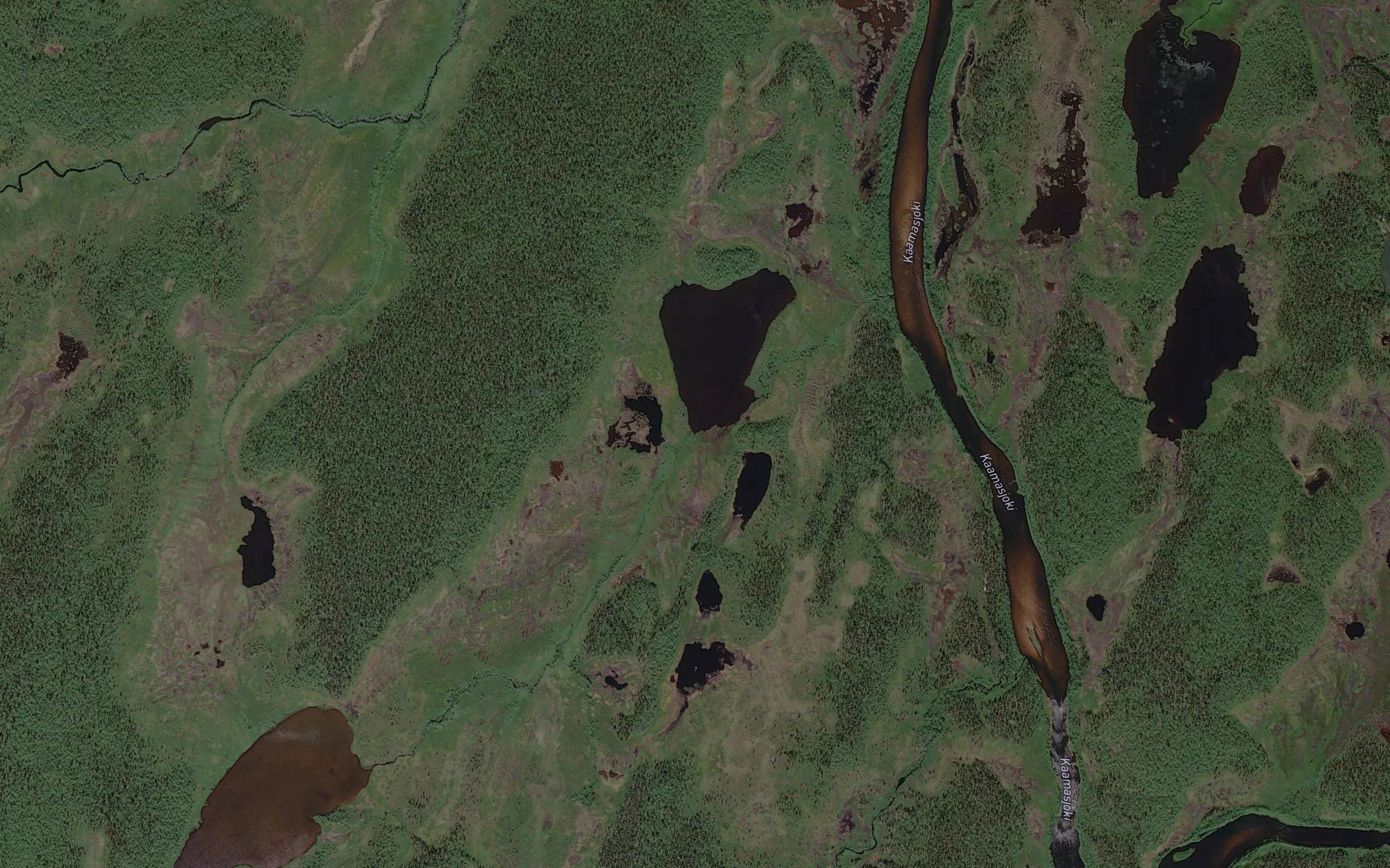 Karhuoja