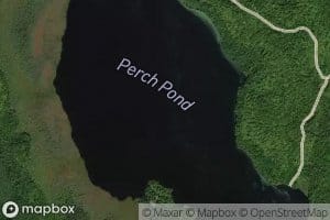 Perch Pond