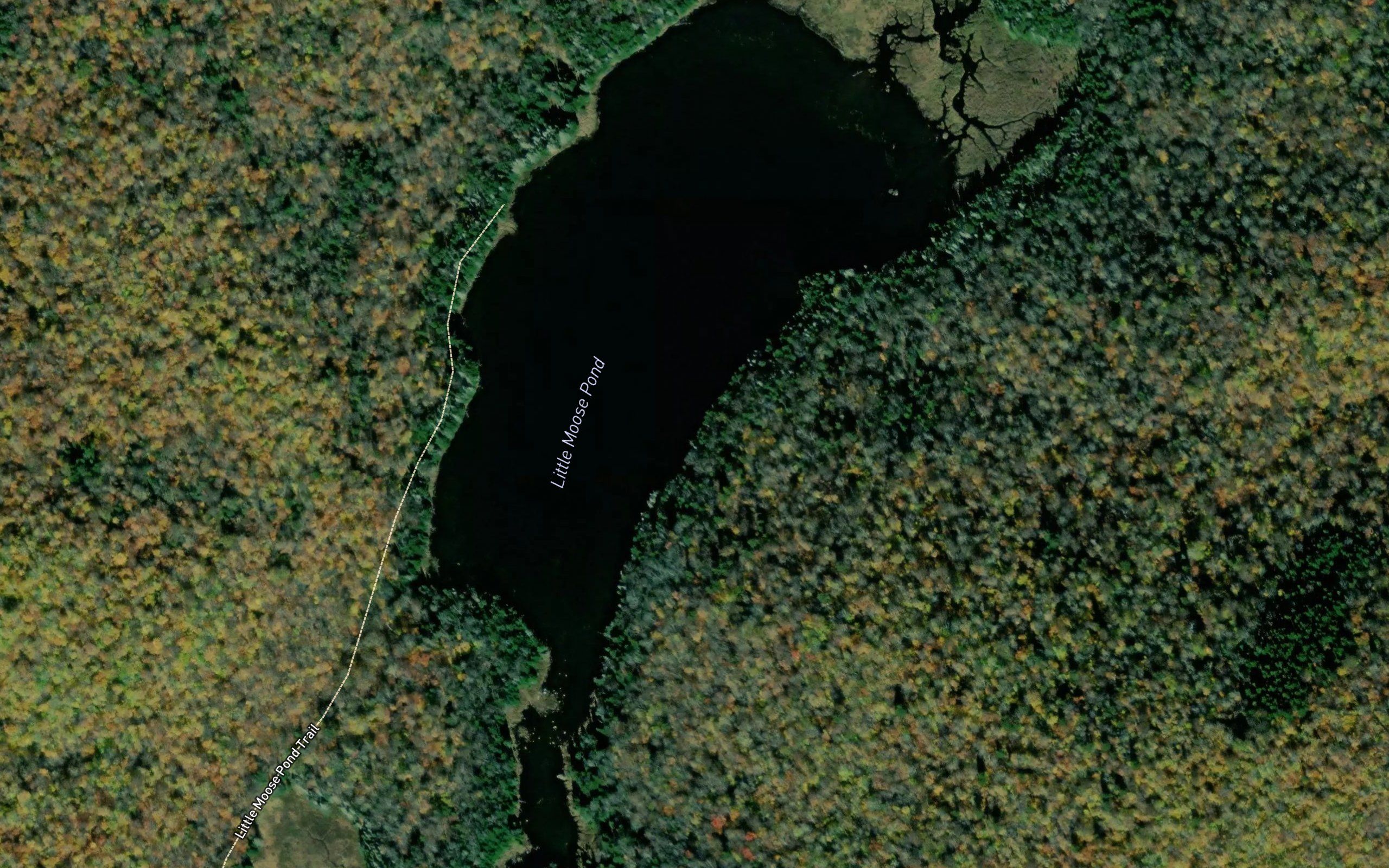 Little Moose Pond