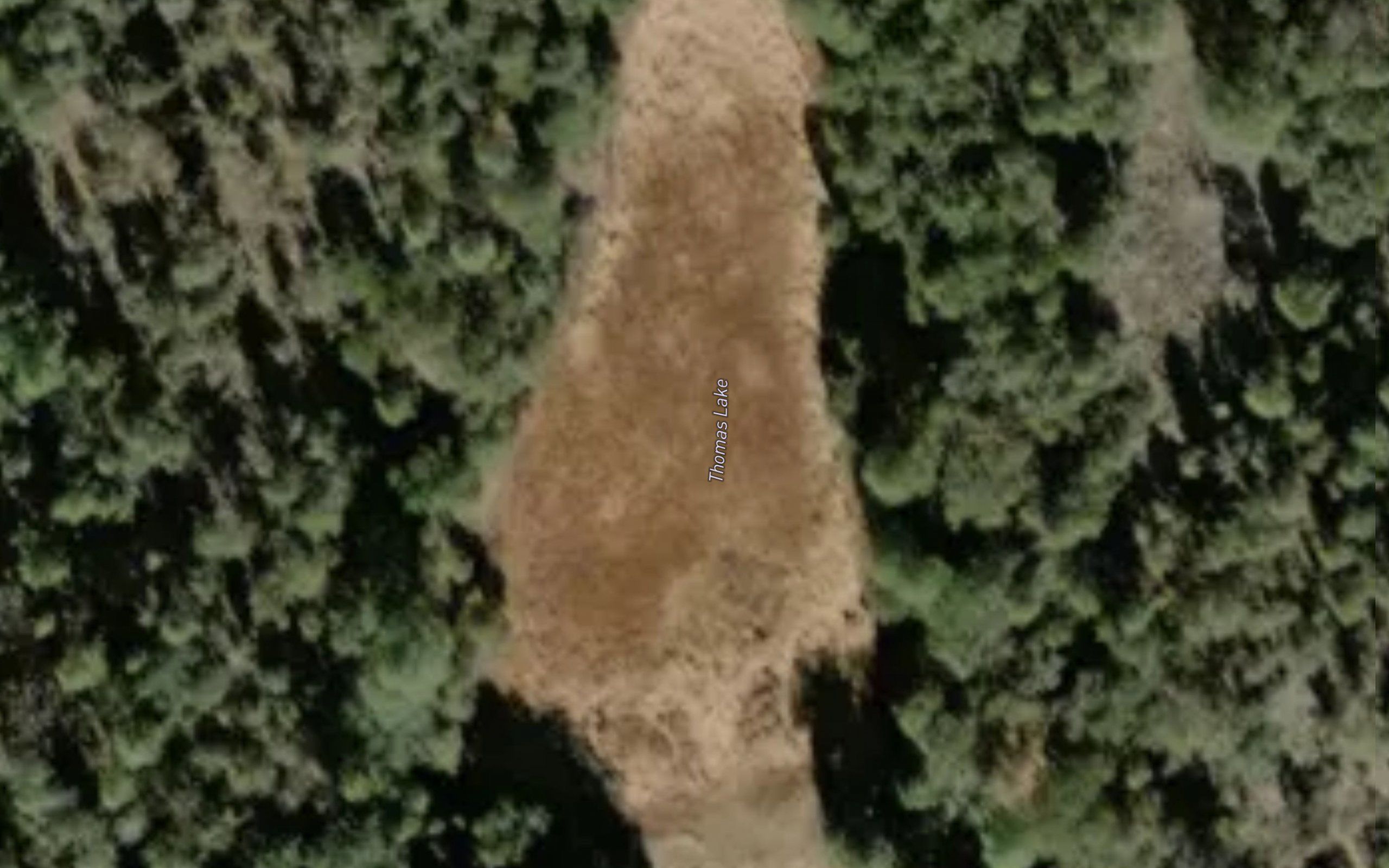 Thomas Lake