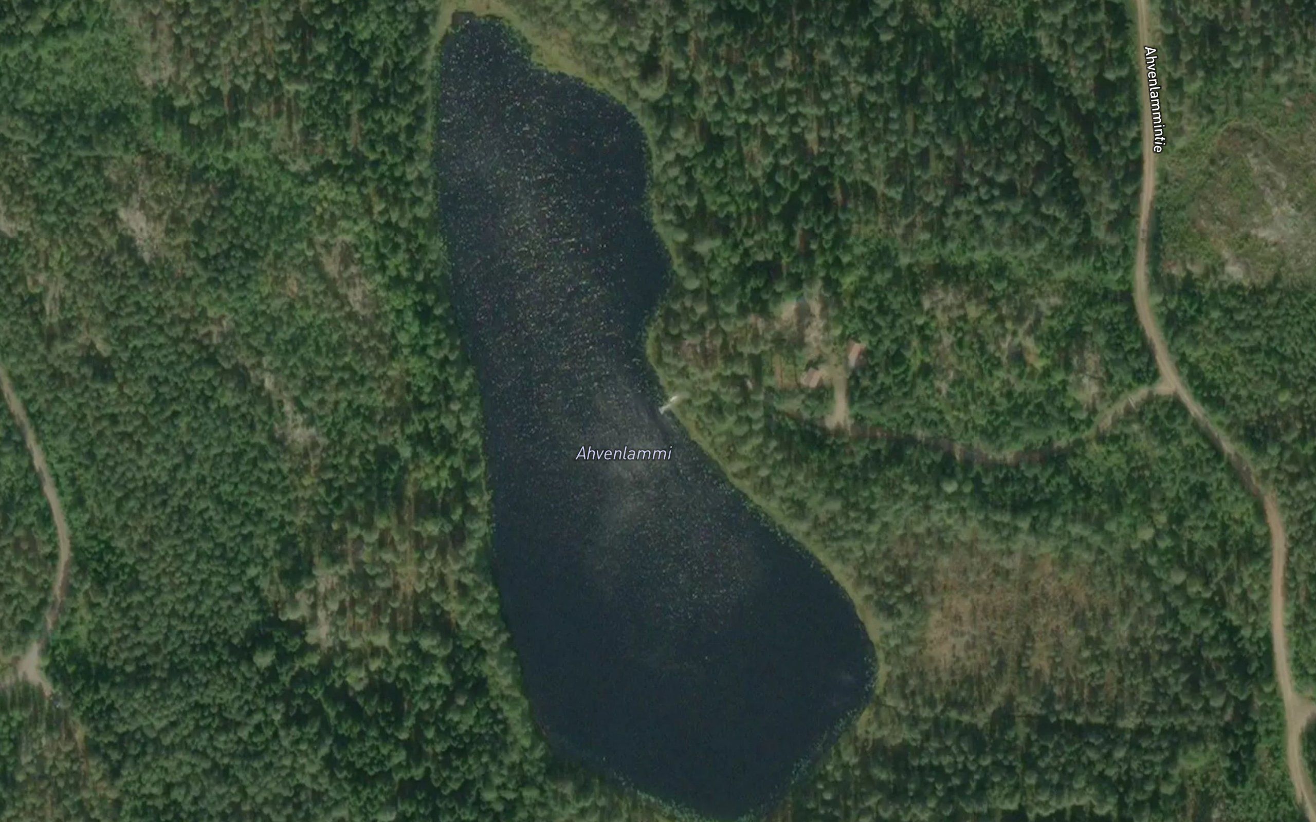 Ahvenlammi