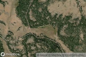 Willow Camp Spring