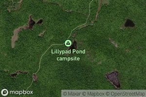 Lillypad Pond