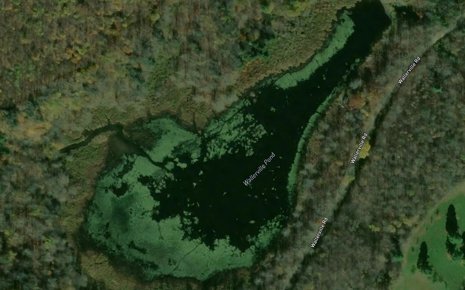 Satellite map of the Wallerville Pond