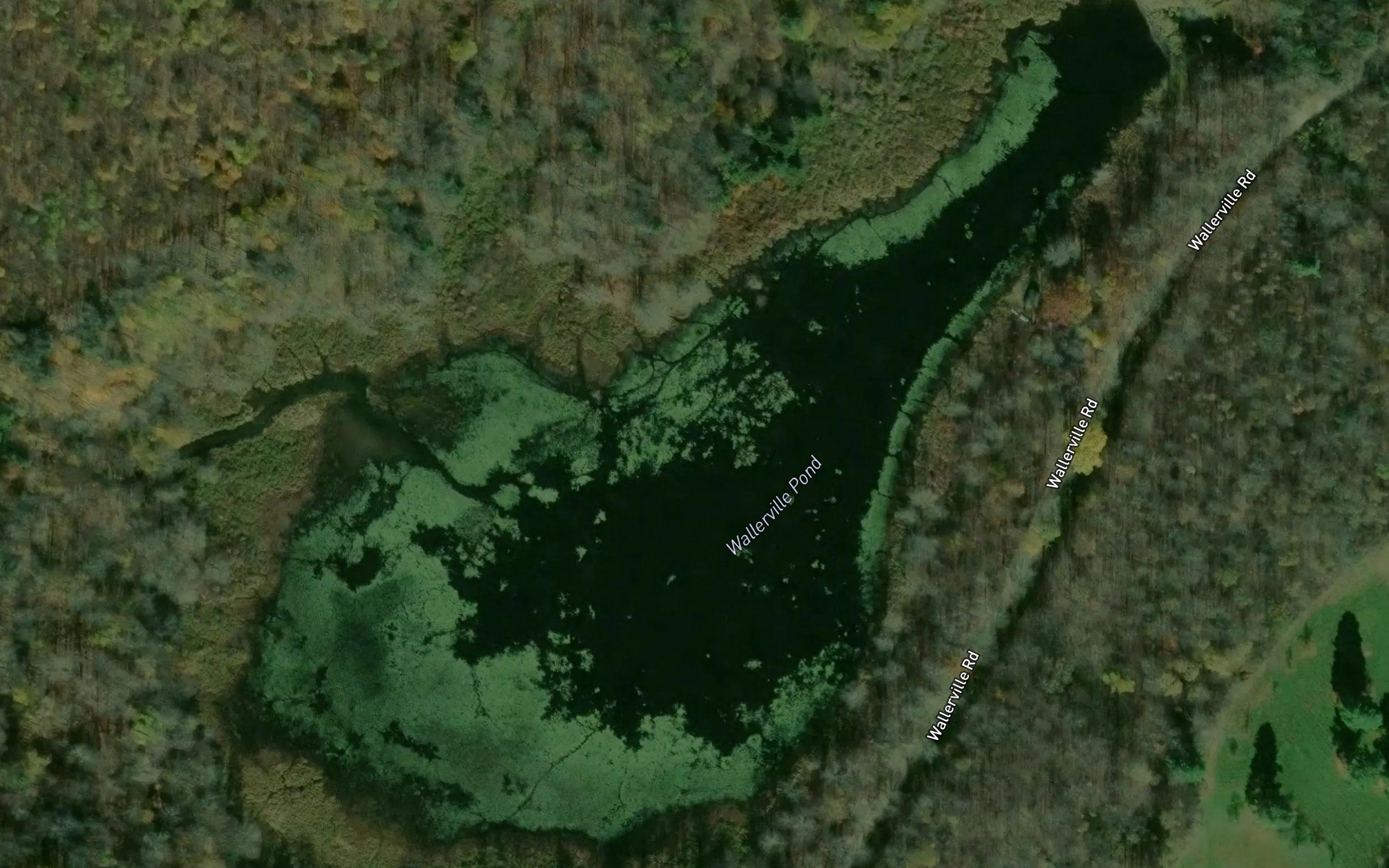 Wallerville Pond