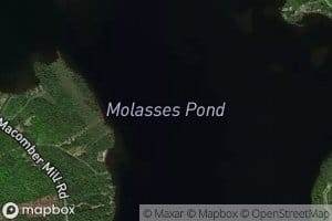 Molasses Pond