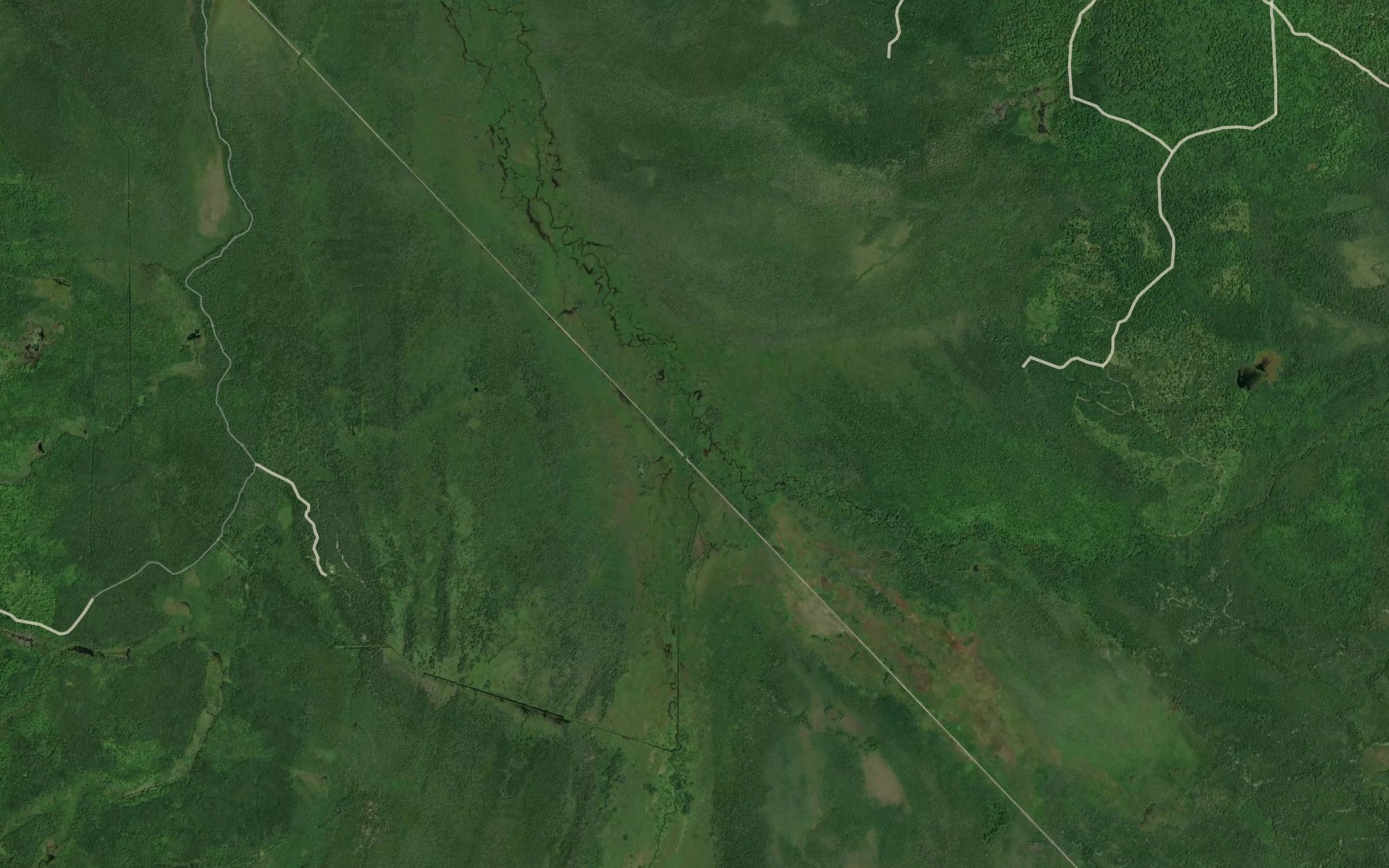 Satellite map of the South Branch Hendrie River
