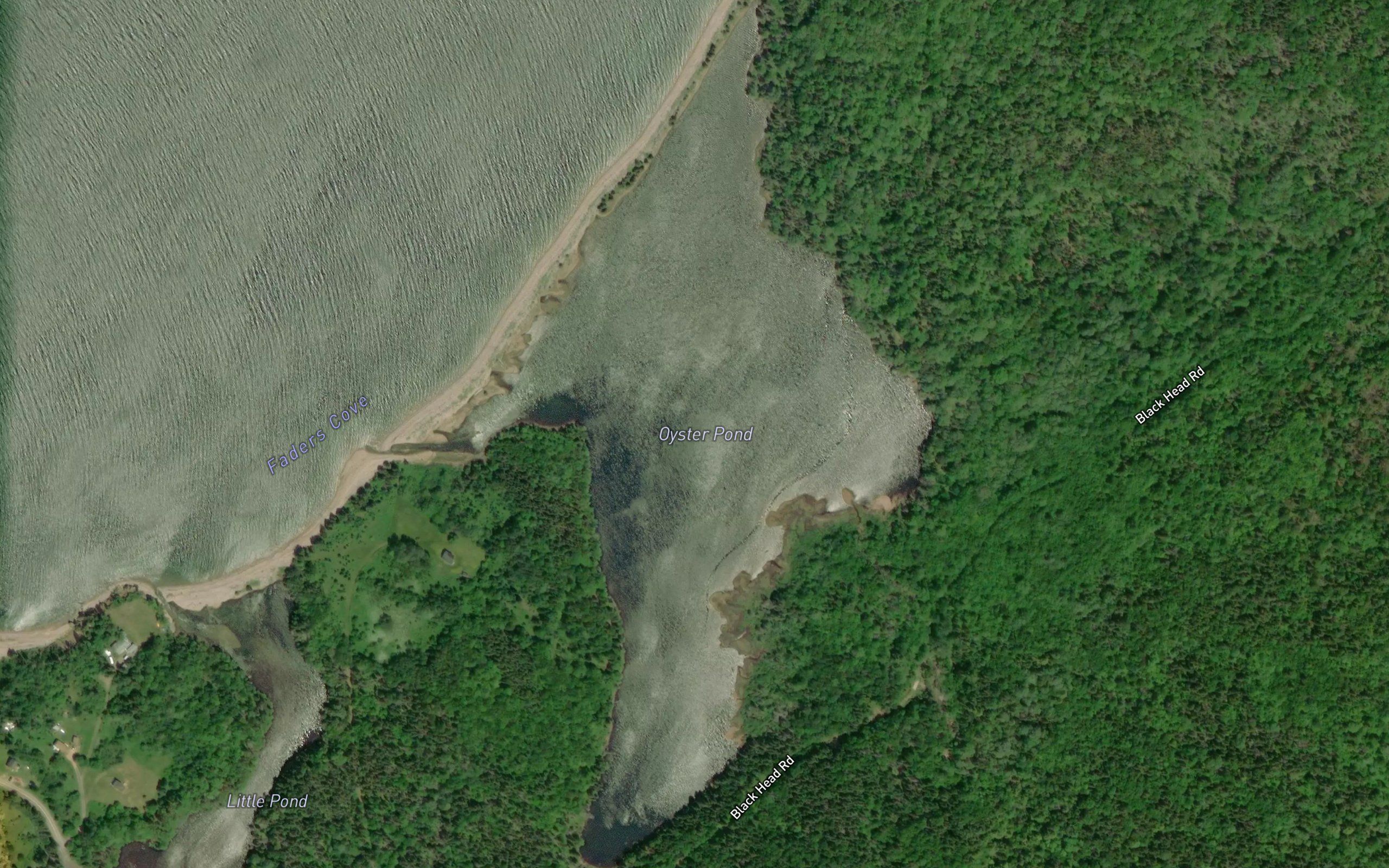 Oyster Pond